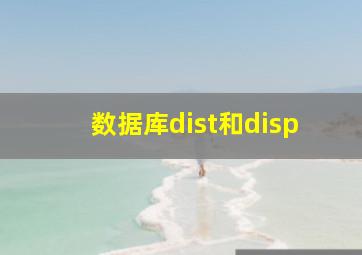 数据库dist和disp