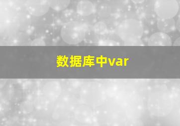 数据库中var