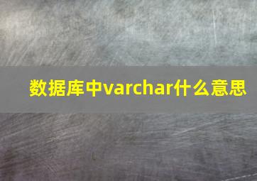 数据库中varchar什么意思