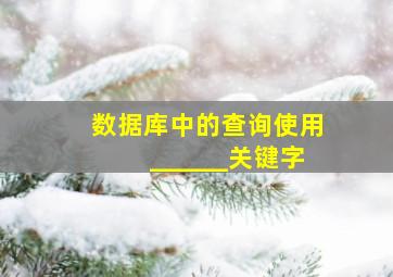 数据库中的查询使用______关键字