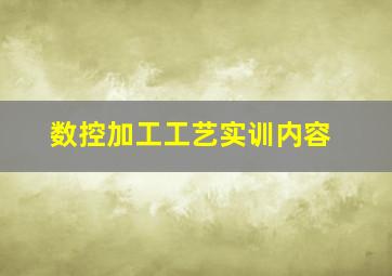 数控加工工艺实训内容