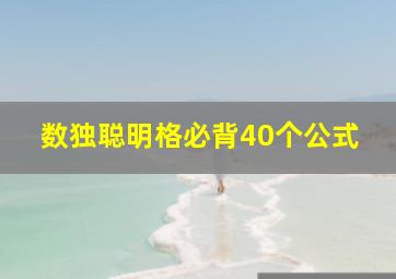 数独聪明格必背40个公式