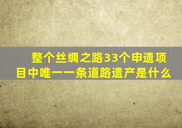 整个丝绸之路33个申遗项目中唯一一条道路遗产是什么