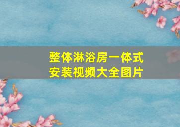 整体淋浴房一体式安装视频大全图片