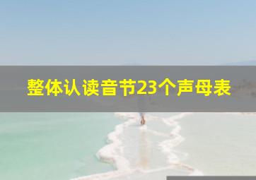 整体认读音节23个声母表