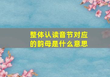 整体认读音节对应的韵母是什么意思