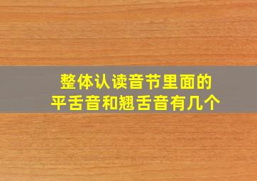 整体认读音节里面的平舌音和翘舌音有几个