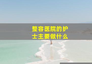 整容医院的护士主要做什么