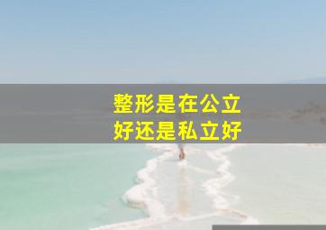 整形是在公立好还是私立好