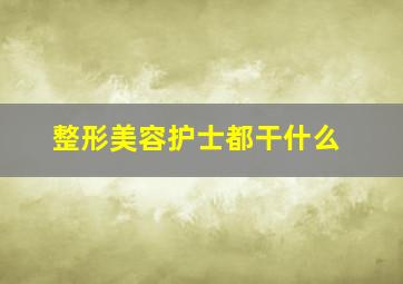 整形美容护士都干什么