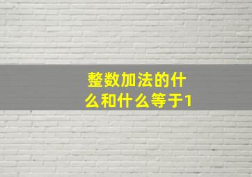 整数加法的什么和什么等于1