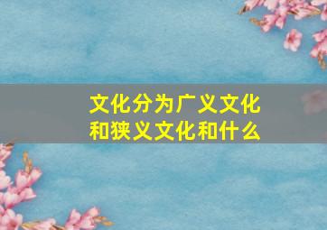 文化分为广义文化和狭义文化和什么