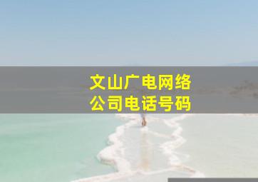 文山广电网络公司电话号码