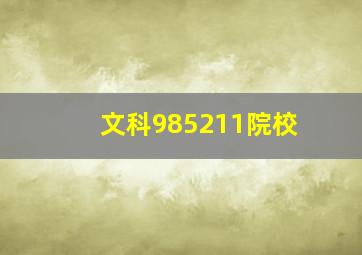 文科985211院校