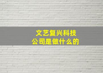 文艺复兴科技公司是做什么的