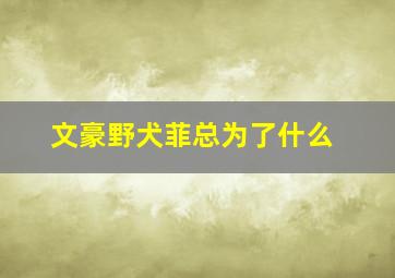 文豪野犬菲总为了什么