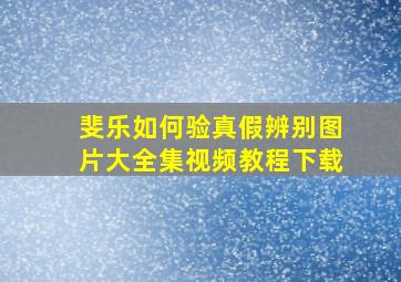 斐乐如何验真假辨别图片大全集视频教程下载