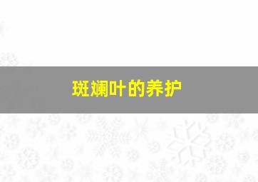 斑斓叶的养护