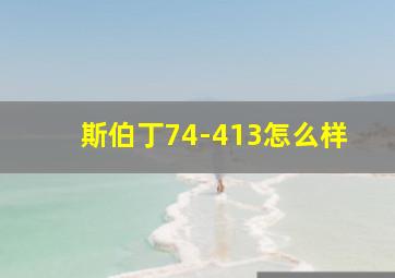 斯伯丁74-413怎么样