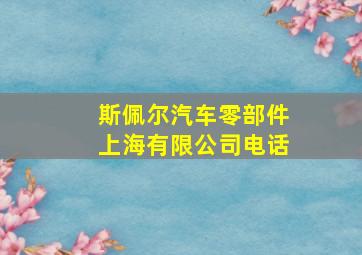 斯佩尔汽车零部件上海有限公司电话