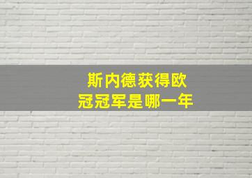 斯内德获得欧冠冠军是哪一年