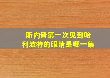 斯内普第一次见到哈利波特的眼睛是哪一集