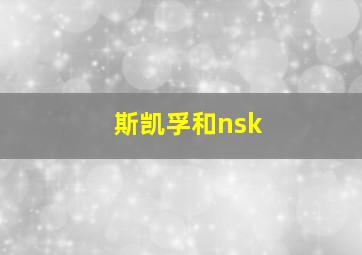 斯凯孚和nsk