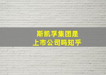 斯凯孚集团是上市公司吗知乎