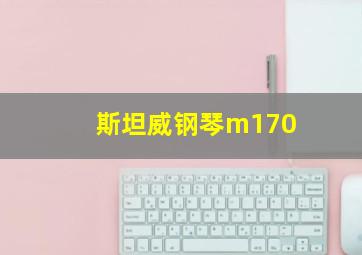 斯坦威钢琴m170