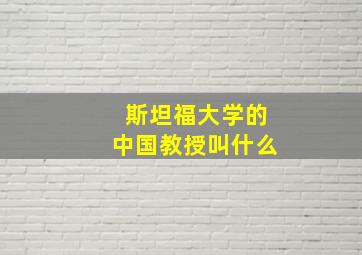 斯坦福大学的中国教授叫什么