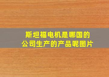 斯坦福电机是哪国的公司生产的产品呢图片