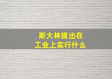 斯大林提出在工业上实行什么