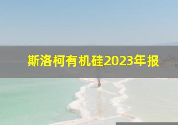 斯洛柯有机硅2023年报