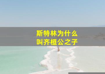 斯特林为什么叫齐桓公之子