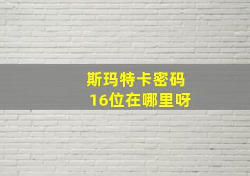 斯玛特卡密码16位在哪里呀