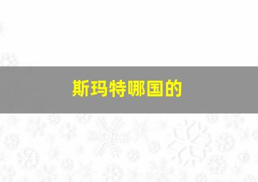 斯玛特哪国的