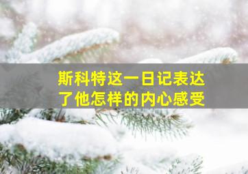 斯科特这一日记表达了他怎样的内心感受