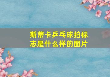 斯蒂卡乒乓球拍标志是什么样的图片