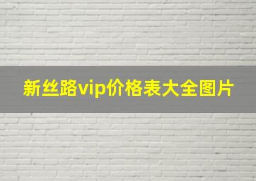 新丝路vip价格表大全图片