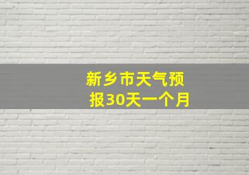 新乡市天气预报30天一个月