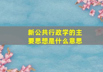 新公共行政学的主要思想是什么意思