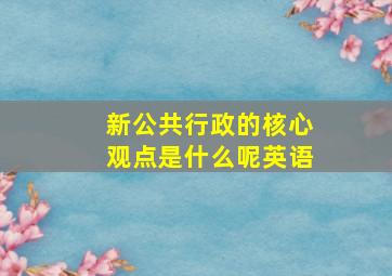 新公共行政的核心观点是什么呢英语