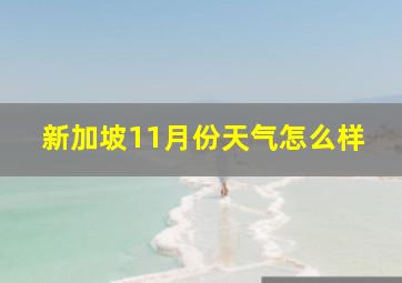 新加坡11月份天气怎么样