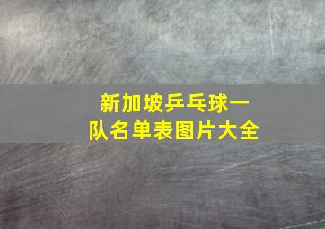 新加坡乒乓球一队名单表图片大全