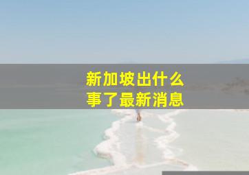 新加坡出什么事了最新消息