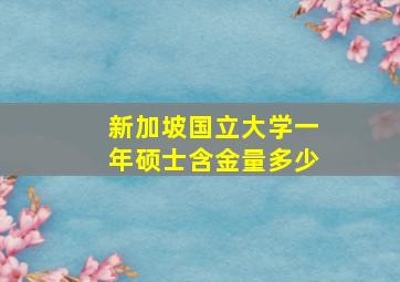 新加坡国立大学一年硕士含金量多少