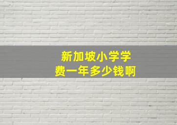 新加坡小学学费一年多少钱啊