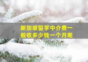 新加坡留学中介费一般收多少钱一个月呢