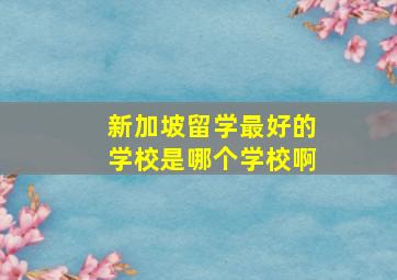 新加坡留学最好的学校是哪个学校啊