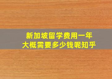 新加坡留学费用一年大概需要多少钱呢知乎